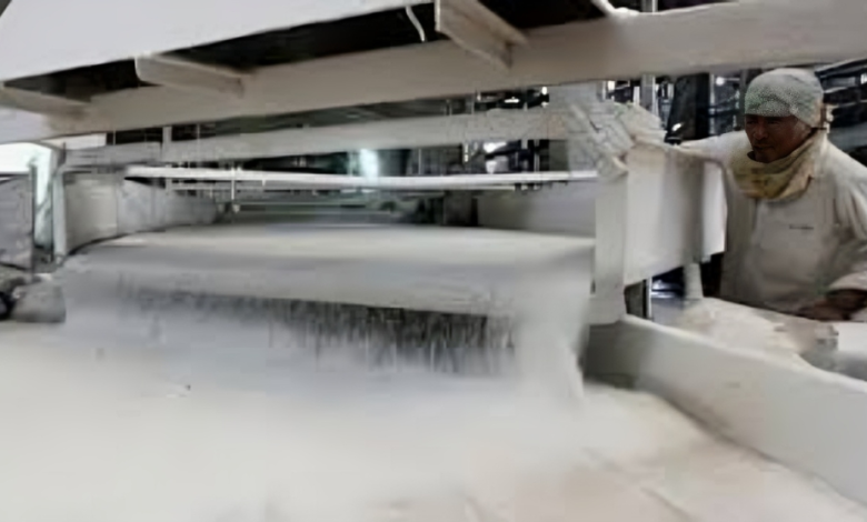 بعد تحقيق الاكتفاء الذاتي من السكر.. مصر تخطو نحو التصدير بإنشاء مصنع جديد في الضبعة