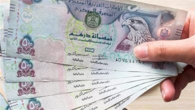 ارتفاع طفيف يربك التوقعات.. سعر الدرهم الإماراتي اليوم مقابل الجنيه المصري يشهد تغيرات جديدة