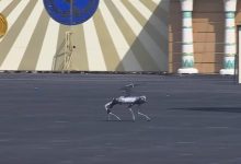 تقنية جديدة تدخل ساحة الأمن المصري.. ما قصة الكلب الروبوتي الذي رافق قوات الشرطة؟