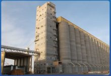 مطاحن شمال القاهرة تواجه ضغوطًا مالية وتراجعًا بالأرباح للربع الأول من العام المالي