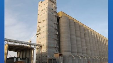 مطاحن شمال القاهرة تواجه ضغوطًا مالية وتراجعًا بالأرباح للربع الأول من العام المالي