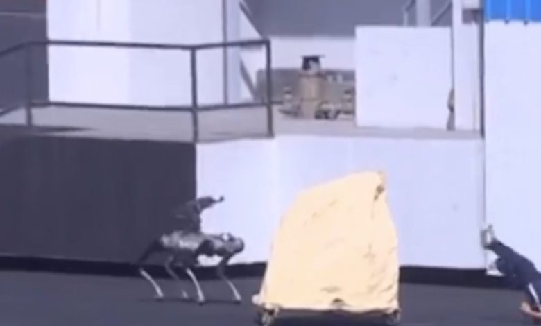 شاهد بالفيديو: الكلب الروبوتي.. ثورة تكنولوجية جديدة في وزارة الداخلية المصرية لتعزيز الأمن الذكي