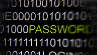 عصر جديد في الأمن الرقمي: شركات كبرى تعتمد الدخول بلا كلمة مرور وتغير قواعد الحماية