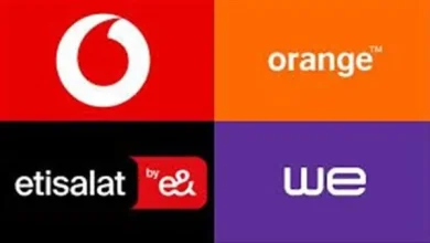 رسميًا.. أسعار باقات الإنترنت الأرضي في مصر وتفاصيل كروت الشحن الجديدة وسط حالة من الجدل