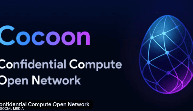 الذكاء الاصطناعي بلا قيود: تعرف على Cocoon الشبكة اللامركزية من تلجرام