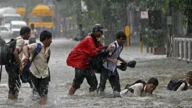 الطقس المتقلب يثير التساؤل: هل ستتوقف الدراسة في محافظات مصر غدًا