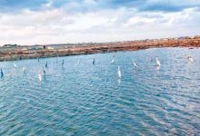 صفقة علم الروم: مصر تتسلم 3.5 مليار دولار من الديار القطرية لتطوير الساحل الشمالي