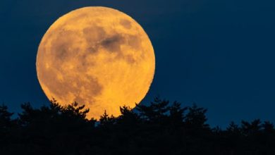 القمر العملاق يعانق المشتري في سماء مصر 2026.. مشهد فلكي يخطف الأنظار