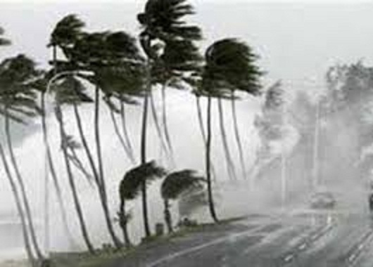 حقيقة انتهاء موجة البرد في مصر 6 مارس 2026.. طقس دافئ وتحذير من الشبورة