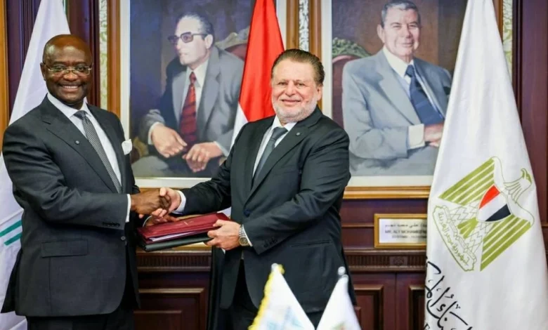 البنك المركزي المصري يتعاون مع أفريكسيم بنك لإطلاق أول بنك ذهب إفريقي وتعزيز مكانة مصر الاقتصادية