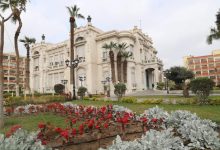 دراسة التجارة 3 سنوات بجامعة عين شمس 2026