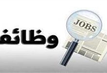 وظائف وزارة النقل 2026.. تعرف على المزايا والشروط وطريقة التقديم