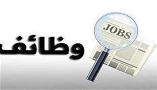 وظائف وزارة النقل 2026.. تعرف على المزايا والشروط وطريقة التقديم