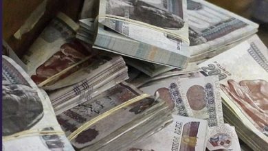 موعد صرف مرتبات شهر فبراير 2026.. «المالية» تُقرر التبكير قبل رمضان لتخفيف الأعباء عن العاملين