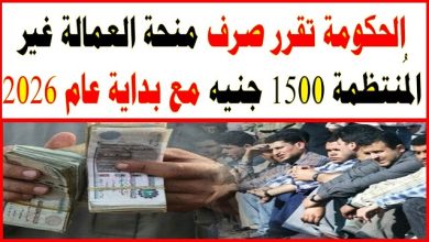 منحة العمالة غير المنتظمة 2026: موعد الصرف وقيمة الدعم وأهم الفئات المستحقة