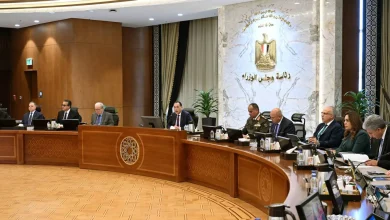 رؤية موجزة لتطوير قطاع الأعمال العام في مصر.. مدحت نافع يطرح خارطة طريق لتعزيز دور القطاع الخاص