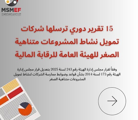 قرار مفاجئ من الرقابة المالية يهز سوق التمويل متناهي الصغر… 15 تقريرًا إلزاميًا للشركات