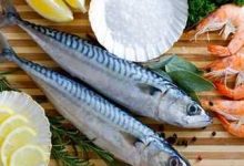 أسعار الأسماك في مصر اليوم الثلاثاء 24 فبراير 2026.. البلطى بين 80 و100 جنيه