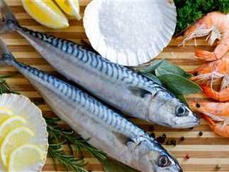 أسعار الأسماك في مصر اليوم الثلاثاء 24 فبراير 2026.. البلطى بين 80 و100 جنيه