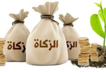 زكاة الفطر 2026 في مصر: القيمة المالية لكل فرد وموعد الإخراج الصحيح