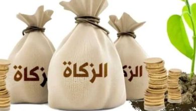 زكاة الفطر 2026 في مصر: القيمة المالية لكل فرد وموعد الإخراج الصحيح