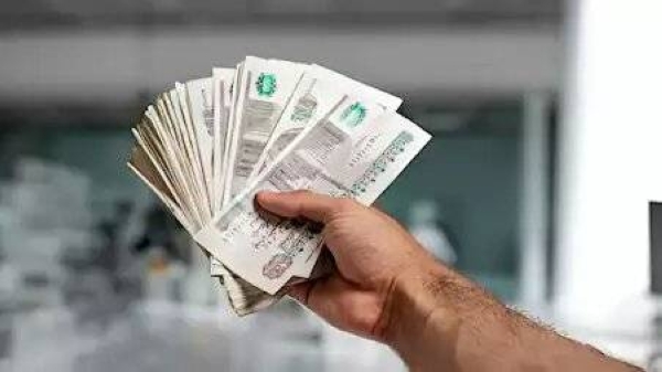 بفائدة 22%.. تفاصيل الشهادة البلاتينية من البنك الأهلي المصري 2026 وأرباح 300 ألف جنيه