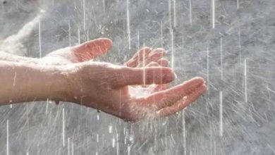 دعاء المطر المستجاب.. أفضل الأدعية المأثورة عند نزول الأمطار (رددها الآن)