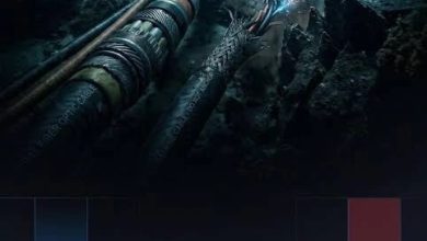 هل يهدد انقطاع كابلات الإنترنت العالم؟ خبراء يوضحون الحقيقة الكاملة