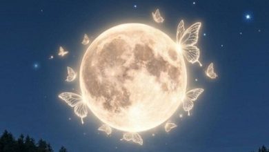 ظاهرة فلكية ساحرة.. بدر الفراشة يسطع في سماء الوطن العربي غدًا