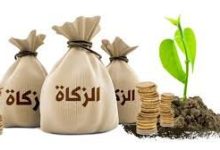 قيمة زكاة الفطر 2026 في مصر.. الحد الأدنى وموعد إخراجها وحكم دفعها نقدًا