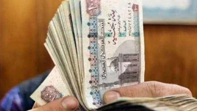 موعد زيادة المرتبات 2026 في مصر.. تفاصيل رفع الحد الأدنى للأجور بعد تصريحات وزير المالية