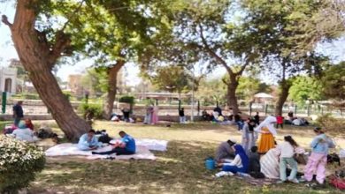 موعد إجازة شم النسيم 2026 في مصر وتفاصيل أجندة الإجازات الرسمية للنصف الأول من العام