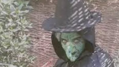 بعد انتشار فيديو مرعب.. الأجهزة الأمنية تكشف حقيقة فتاة الساحرة في الفيوم