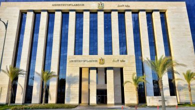 بشرى للشباب: وزارة العمل تعلن عن آلاف الوظائف بمرتبات تصل لـ 16500 جنيه