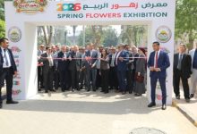 افتتاح النسخة الـ93 من معرض زهور الربيع بالمتحف الزراعي بالدقي وسط مشاركة دولية واسعة