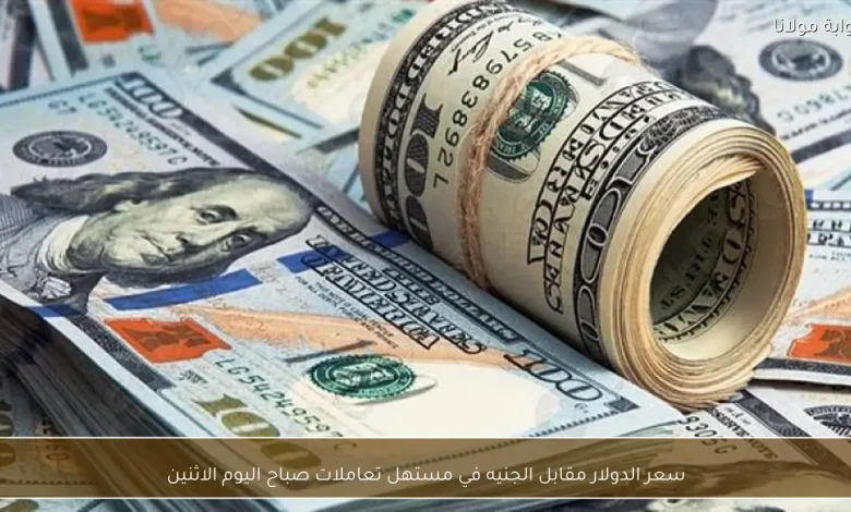 استقرار سعر الدولار اليوم في مصر رغم تراجع الجنيه.. ما القصة