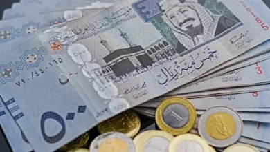 سعر الريال السعودي اليوم في مصر.. تحديث جديد وتحركات مفاجئة في البنوك