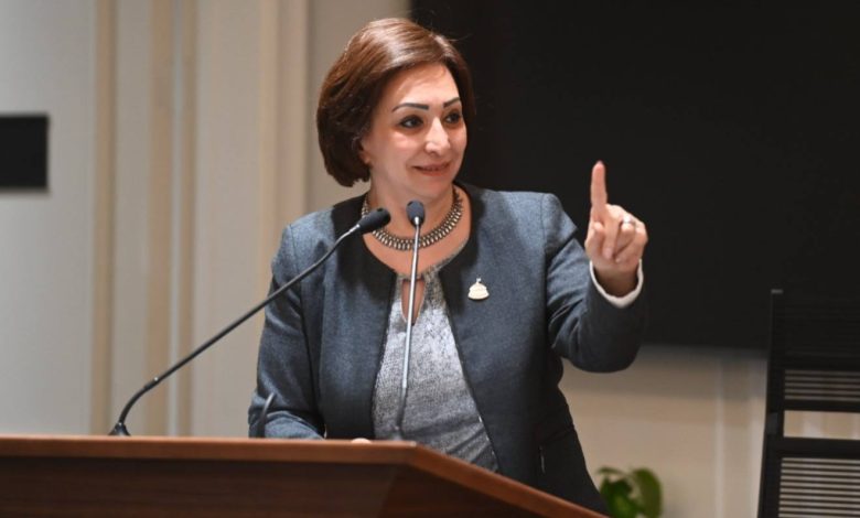 هل يصبح الإنترنت غير المحدود حقاً للمصريين؟ تصريحات النائبة مها عبدالناصر