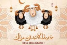 موعد عيد الأضحى 2026 في مصر فلكيًا وعدد أيام الإجازة الرسمية
