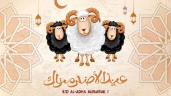 موعد عيد الأضحى 2026 في مصر فلكيًا وعدد أيام الإجازة الرسمية
