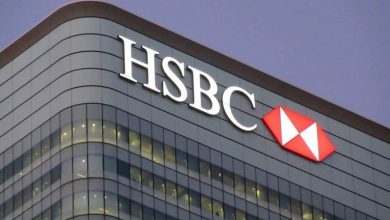 تعيين جديد في HSBC مصر يهز قطاع البنوك.. دلفروز صفوان تقود مستقبل التعلم والتطوير