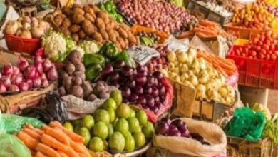 تباين أسعار الخضروات في الأسواق اليوم الجمعة 10 أبريل 2026 واستقرار نسبي في بعض الأصناف