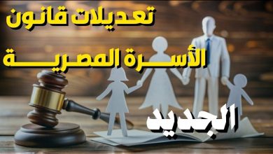 رسميًا: مصر تُعيد صياغة قوانين الأسرة بالكامل.. تعرف على أهم التعديلات الجديدة