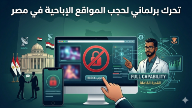 تفاصيل تحرك برلماني لحجب المواقع الإباحية في مصر