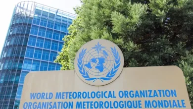 الأرصاد العالمية ترجّح عودة ظاهرة «إل نينيو» منتصف 2026.. موجات حر وأمطار غير معتادة تضرب العالم