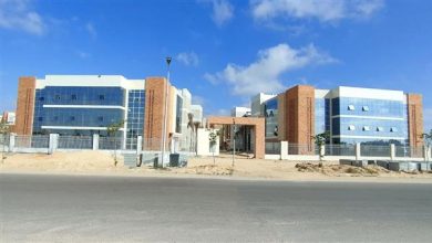 من برج العرب للعالم.. جامعة سنجور تتحول إلى جسر تعليمي بين مصر وإفريقيا وفرنسا