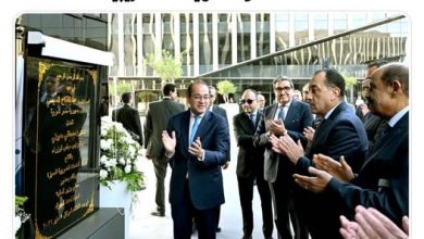 التحول الرقمي يصل إلى الضرائب في مصر.. خطوة جديدة لتطوير الخدمات