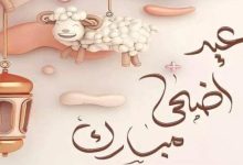 موعد إجازة عيد الأضحى 2026 في مصر.. 5 أيام عطلة رسمية تبدأ من وقفة عرفات