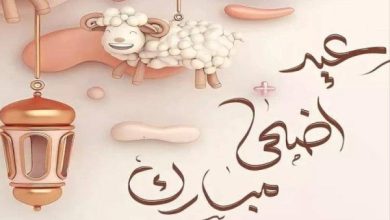 موعد إجازة عيد الأضحى 2026 في مصر.. 5 أيام عطلة رسمية تبدأ من وقفة عرفات