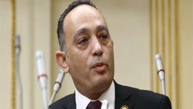 فريدي البياضي: الإنترنت في مصر أصبح ضرورة حياتية وأسعاره أعلى من أمريكا مقارنة بالخدمة